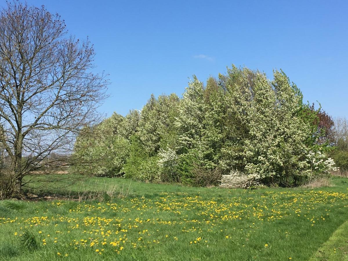 De Zoete Aagt Villa Groesbeek Buitenkant foto