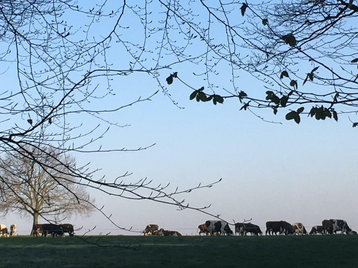 De Zoete Aagt Villa Groesbeek Buitenkant foto